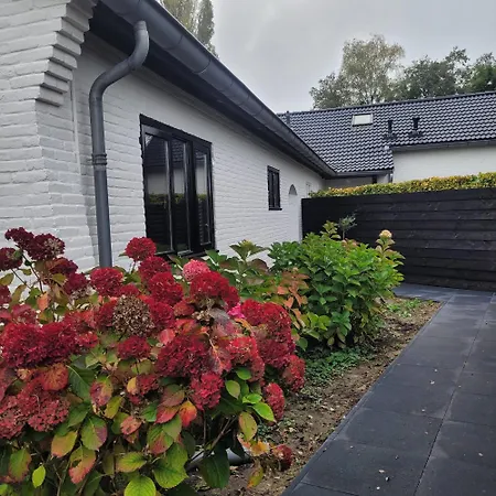 Lg Huissen